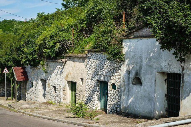 Private winetasting and sightseeing tour to Eger, home to Bull's Blood wine! - The Wine Tasting Experience