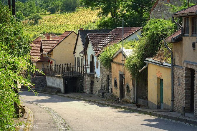 Private winetasting and sightseeing tour to Eger, home to Bull's Blood wine! - Price and Value Considerations