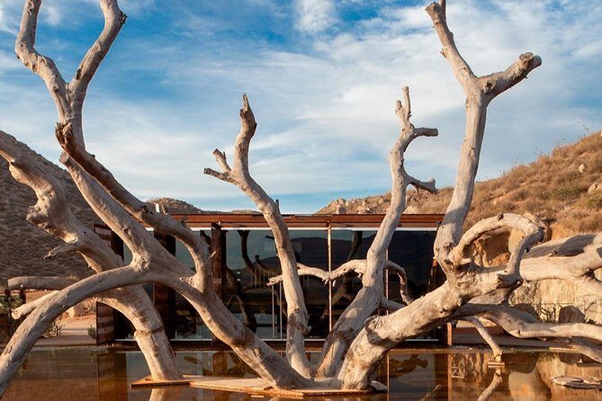 PRIVATE WINETASTING TOUR (Transportation,custom schedule) - Who Should Consider This Tour?