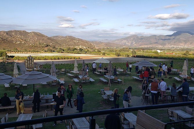 PRIVATE WINETASTING TOUR (Transportation,custom schedule) - Frequently Asked Questions