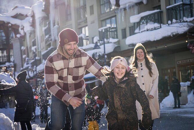 Private Winter Whistler and Shannon Falls Sightseeing Tour - Key Points