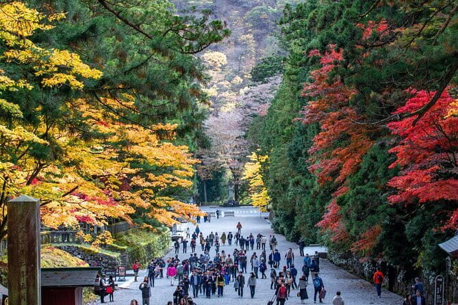 Private workshop and Japanese style dance show in Nikko - The Sum Up