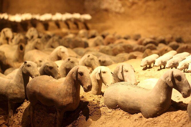 Private Xi'an Tour: Terracotta Warriors, Hanyangling Museum, Cave Homes - Exploring the Core Highlights