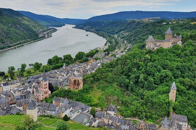 Private Xmas Market Hopping with wine tasting and gondola ride - Who Will Enjoy This Tour?