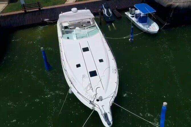 Private Yacht 46ft Sea Ray Snorkel up to 15 pax 23P2 - Who Will Love This Tour?