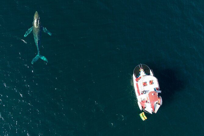 Private Yacht Charter ChicaFUN 3 Waterslides All Inclusive - Authentic Guest Perspectives