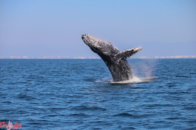 Private Yacht Charter on ChicaFun 1 Waterslides all inclusive - Frequently Asked Questions