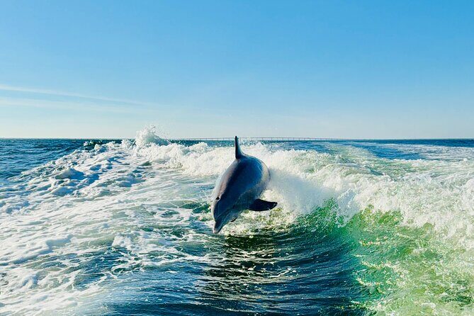 Private Yacht Charter on The Whiskey from Sandestin - A Deeper Look at the Experience