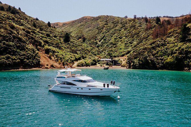 Private Yacht Cruise in the Marlborough Sounds New Zealand - Setting the Scene: The Marlborough Sounds and What to Expect
