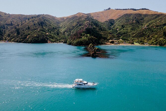 Private Yacht Cruise in the Marlborough Sounds New Zealand - The Price: Is It Worth It?
