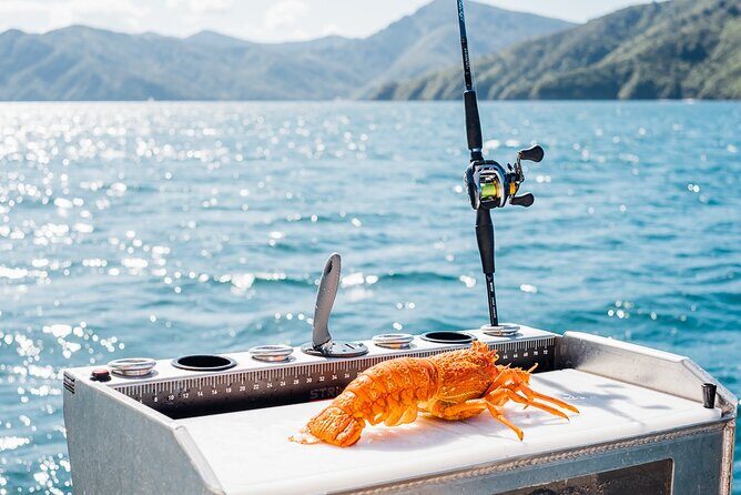 Private Yacht Cruise in the Marlborough Sounds New Zealand - Who Would Love This Tour?