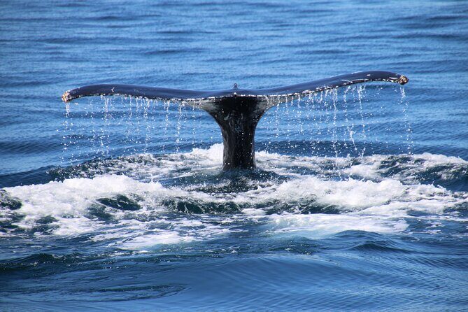 Private Yacht, Sightseeing, Snorkeling and Private beaches - FAQ