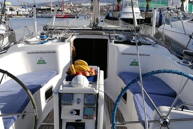 Private Yacht Tour With Whale and Dolphin Watching 42 Foot Boat - A Closer Look at the Experience