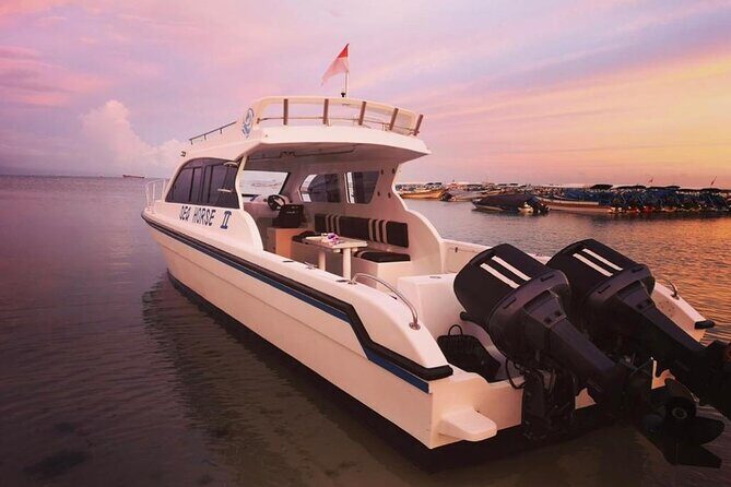 Private Yacht Trip Tour Bali - 8 Hours Day Trip Nusa Penida - SH2 - What’s Included and What’s Not