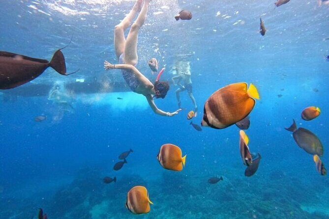 Private Yacht Trip Tour Bali - 8 Hours Day Trip Nusa Penida - SH2 - Who Should Book This Tour?