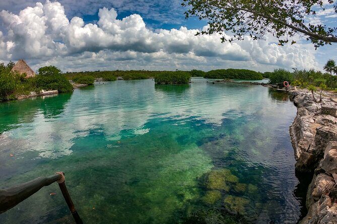 Private Yal-ku and Akumal Experience - Introduction: Why Choose the Private Yal-ku and Akumal Tour?