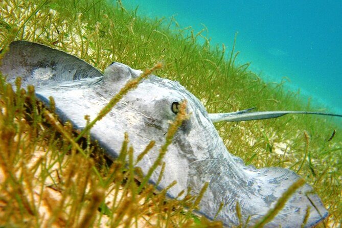 Private Yal-ku and Akumal Experience - FAQ