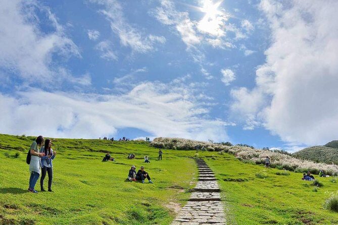 Private Yangmingshan & Beitou Tour from Taipei with Pickup - Exploring Taiwan’s Natural Beauty: A Deep Dive into the Private Yangmingshan & Beitou Tour