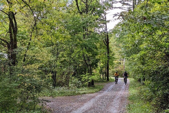 Private Yatsugatake Highland Guided Electric Bike Tour - A Detailed Look at the Yatsugatake Highland Guided Electric Bike Tour