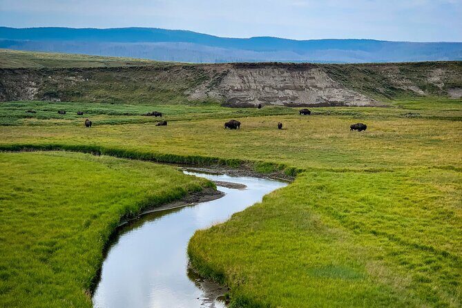 Private Yellowstone Highlights Tour - Key Points