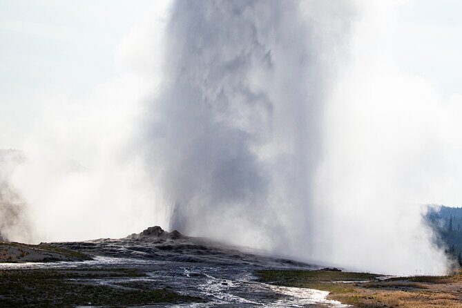 Private Yellowstone Highlights Tour - References