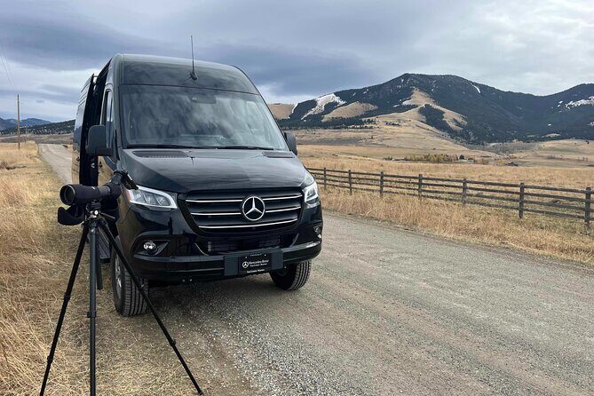 Private Yellowstone Park Van Tours from Bozeman and Big Sky - Key Points