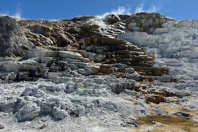 Private Yellowstone Park Van Tours from Bozeman and Big Sky - The Sum Up