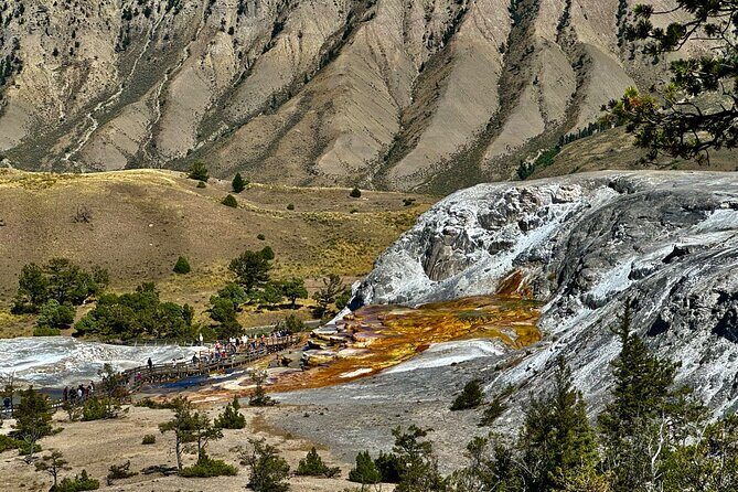 Private Yellowstone Wildlife and Photo Tours West Yellowstone - FAQ