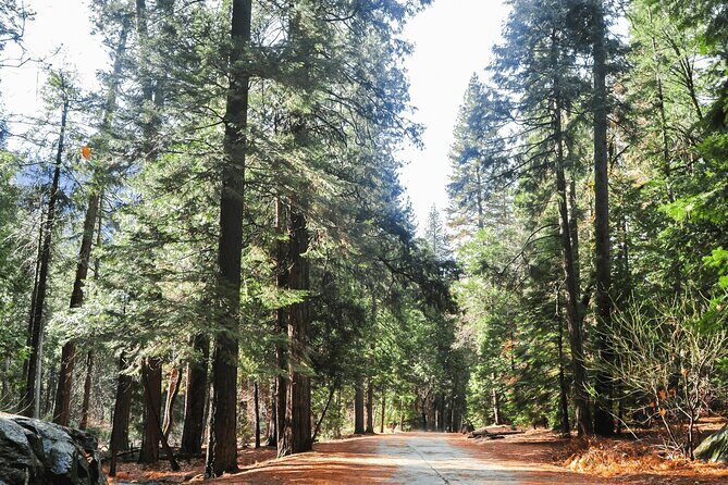 Private Yosemite National Park Day Trip from San Francisco - Lunch and Practical Tips