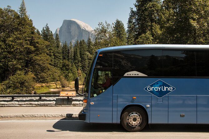 Private Yosemite National Park Day Trip from San Francisco - The Sum Up