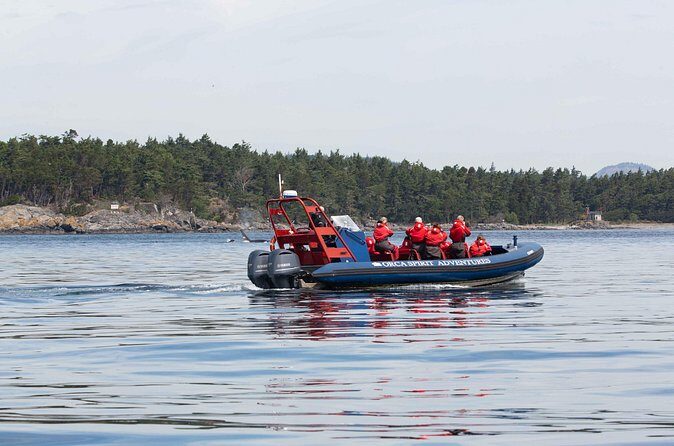 Private Zodiac Whale Watching Tour from Victoria - Final Thoughts