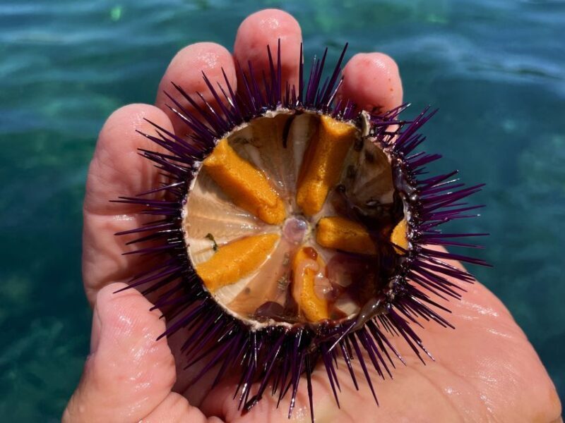 Procida: Boat Tour with Swimming Stops and Underwater Photos - Landmarks & Photogenic Moments