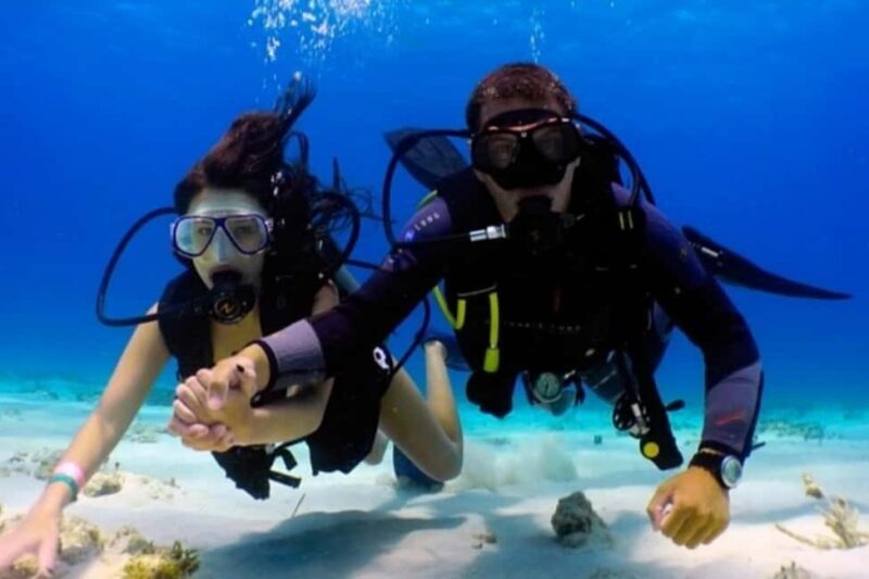 Professional Guided Scuba Diving: Swim with colorful fish. - Key Points