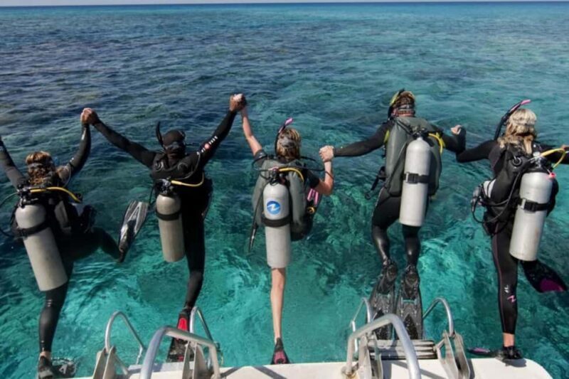 Professional Guided Scuba Diving: Swim with colorful fish. - Exploring the Antalya Scuba Tour