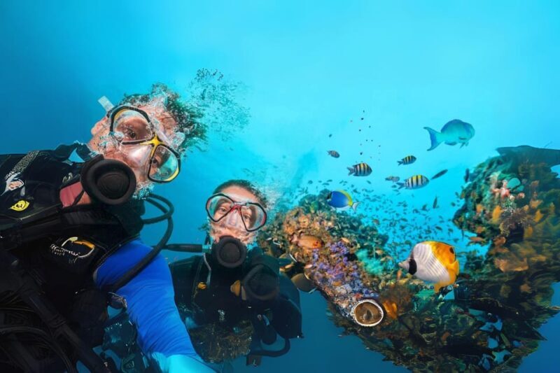 Professional Guided Scuba Diving: Swim with colorful fish. - Frequently Asked Questions