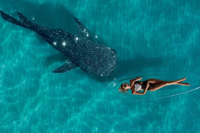 Professional Photo and Video Shoot in a Clear Kayak Cancun - Practical Details: Timing, Price, and Booking