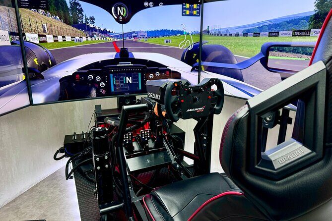Professional racing simulator - An Inside Look at the Cancun Racing Simulator Experience