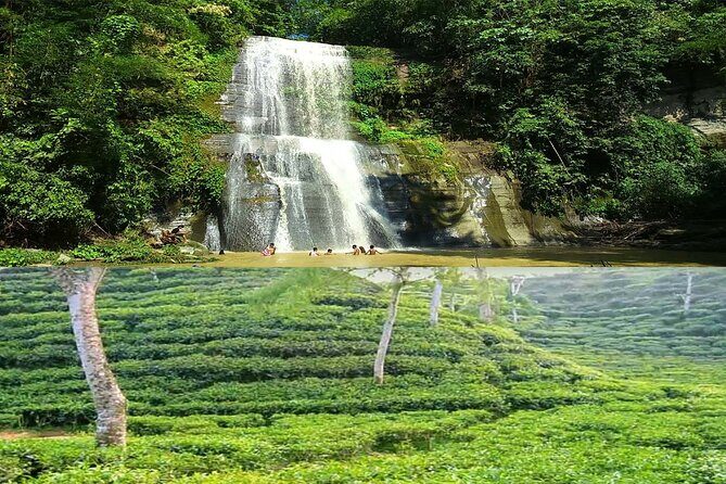 Professional tour guide hire in Sreemangal - Discovering Sreemangal with a Private Guide: An In-Depth Review