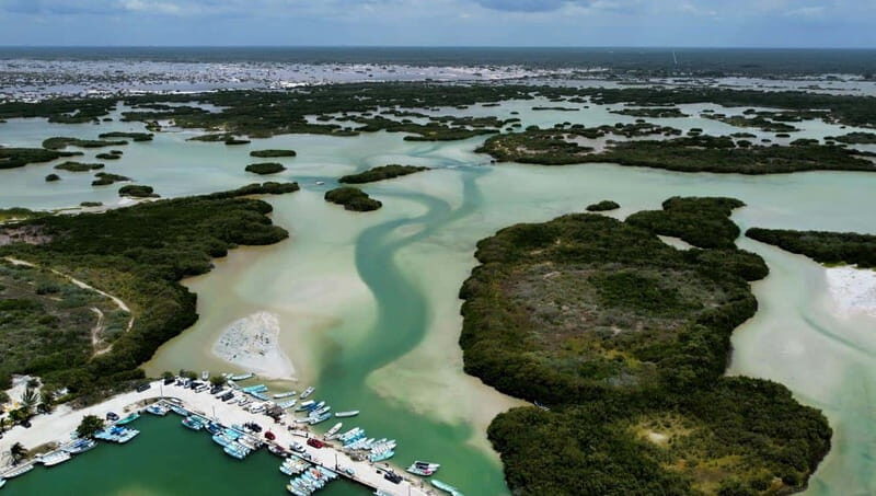 Progreso: Isla Columpios and Pig Beach Club Day Pass - Key Points