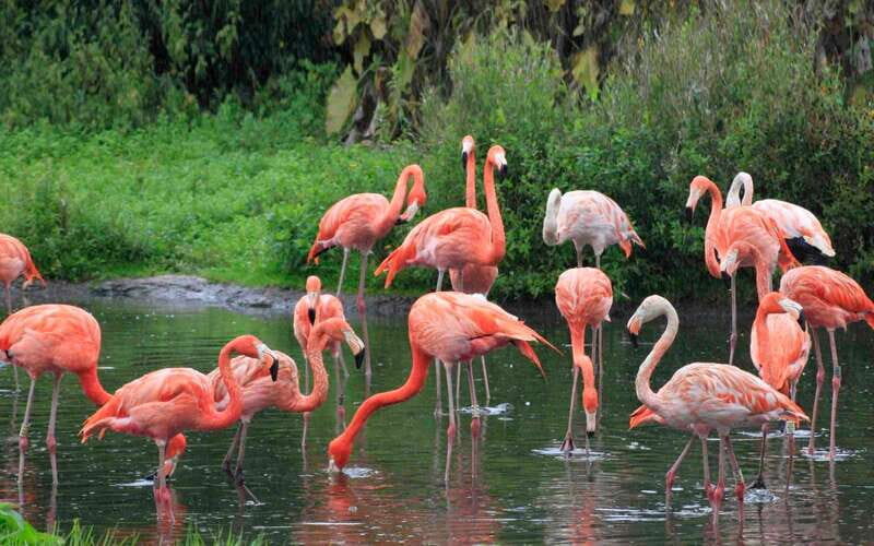 Progreso: Sightseeing Trip with Mayan Ruins & Beach Break - Who Should Consider This Tour?