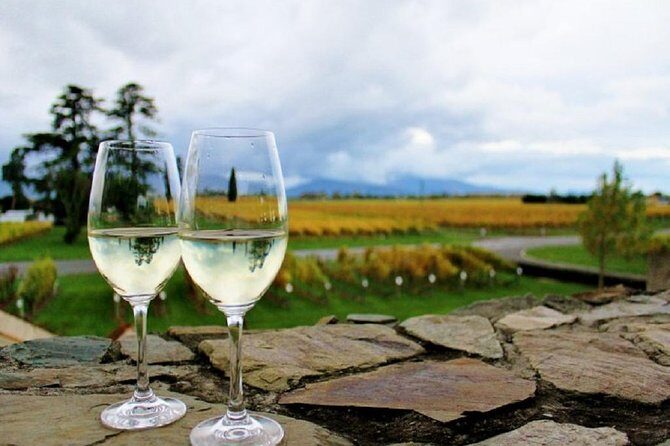 Progressive Wine and Gourmet Trail of Marlborough - Key Points
