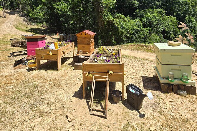 Promise Land Bee Farm Private Tour in Charleston - Discover the Promise Land Bee Farm Private Tour in Charleston