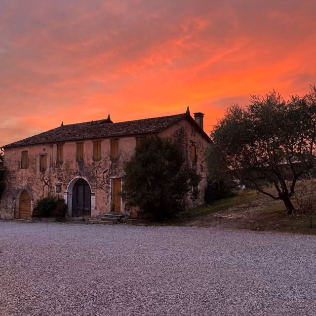 Prosecco Hills: Lovely Tasting Night - Who Will Love This Tour?