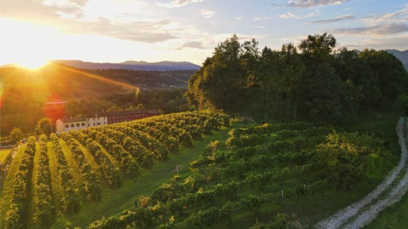 Prosecco Hills: Lovely Tasting Night - Practical Details and Tips