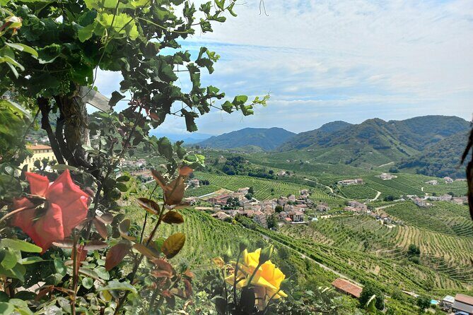 Prosecco hills wine and food tour from Venice and Treviso - A Full Breakdown of the Prosecco Hills Tour