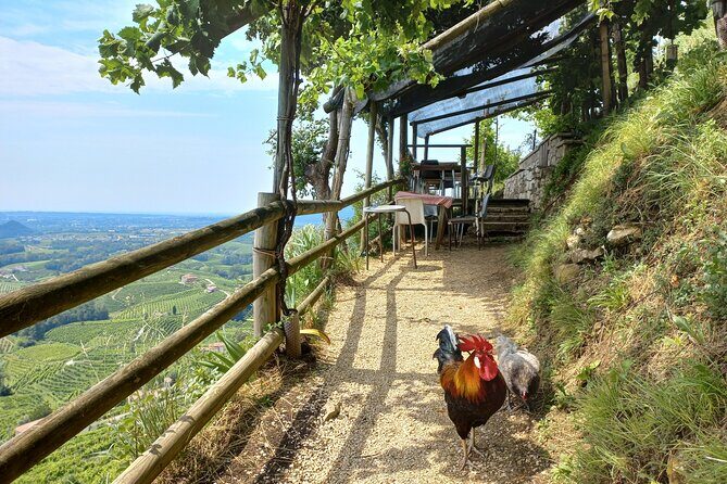 Prosecco hills wine and food tour from Venice and Treviso - FAQs