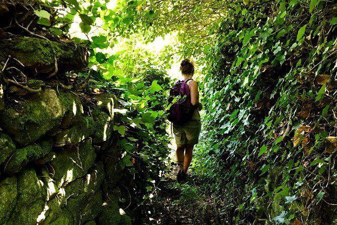 Prosecco Origins Wine Experience - Key Points