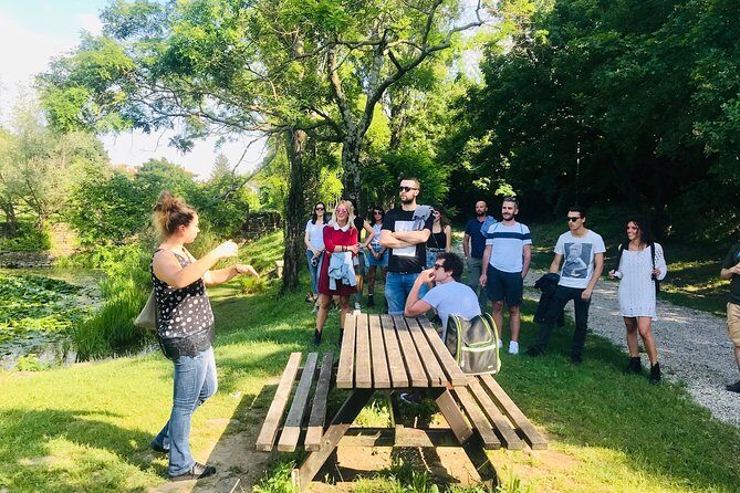 Prosecco Origins Wine Experience - An In-Depth Look at the Prosecco Origins Wine Experience