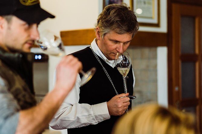 Prosecco Wine Tour (all-inclusive full day with lunch and expert wine guide) - An In-Depth Look at the Tour Experience