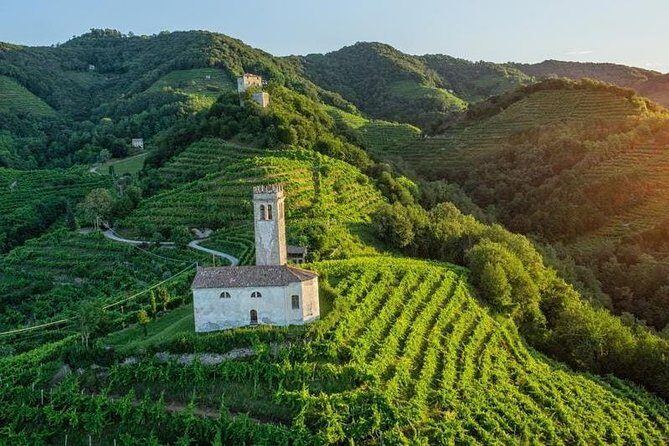 Prosecco Wine Tour. Full day from Venice - Authentic Experiences and Guest Insights